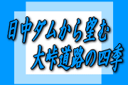 日中ダムから望む大峠道路の四季