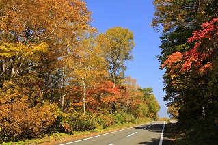 磐梯山有料道路（ゴールドライン）風景-1