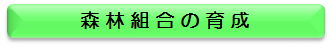 森林組合の育成