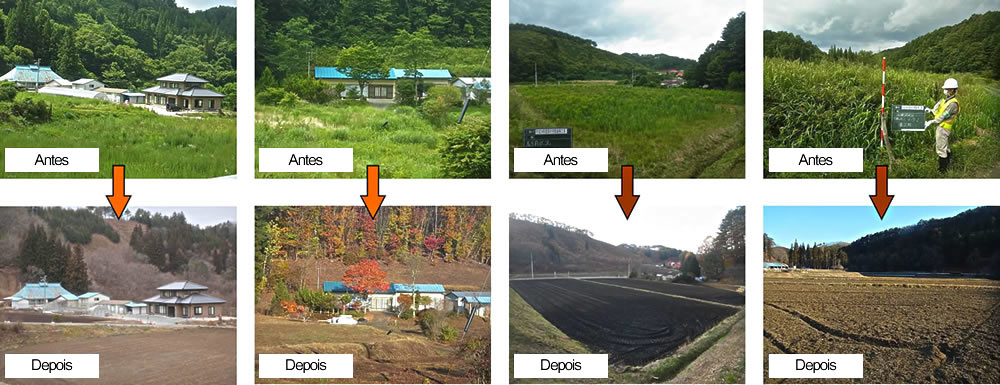 Image : Before & After the Decontamination Work in Tamura City