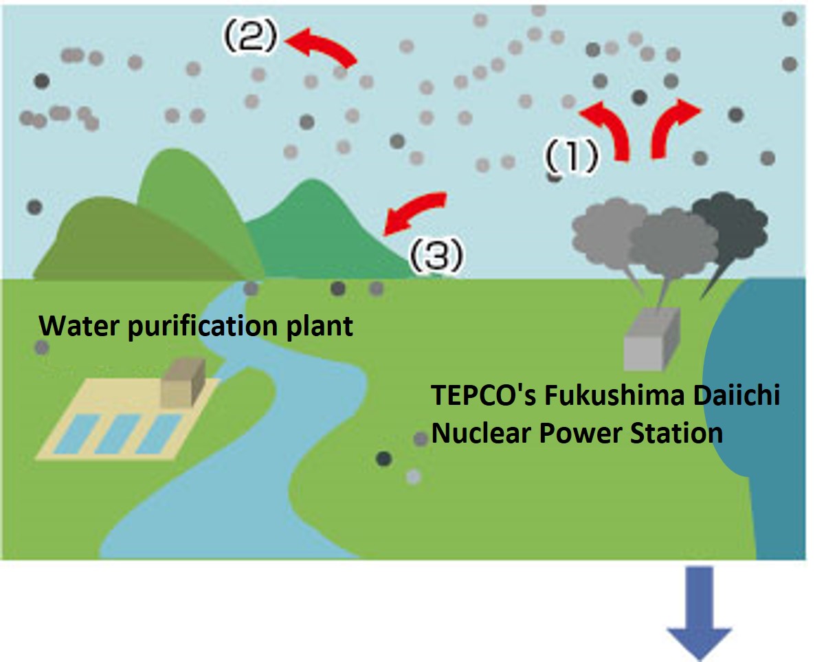 Impact immediately after the nuclear accident <1>