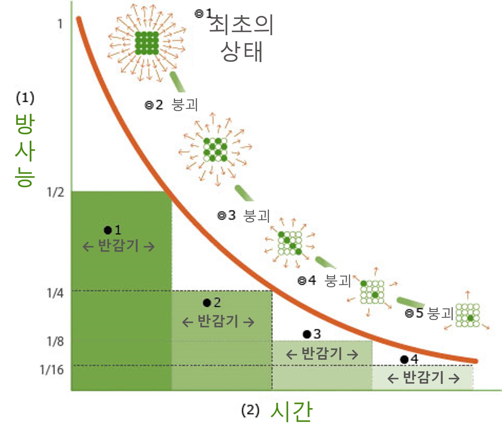 반감기에 대해.