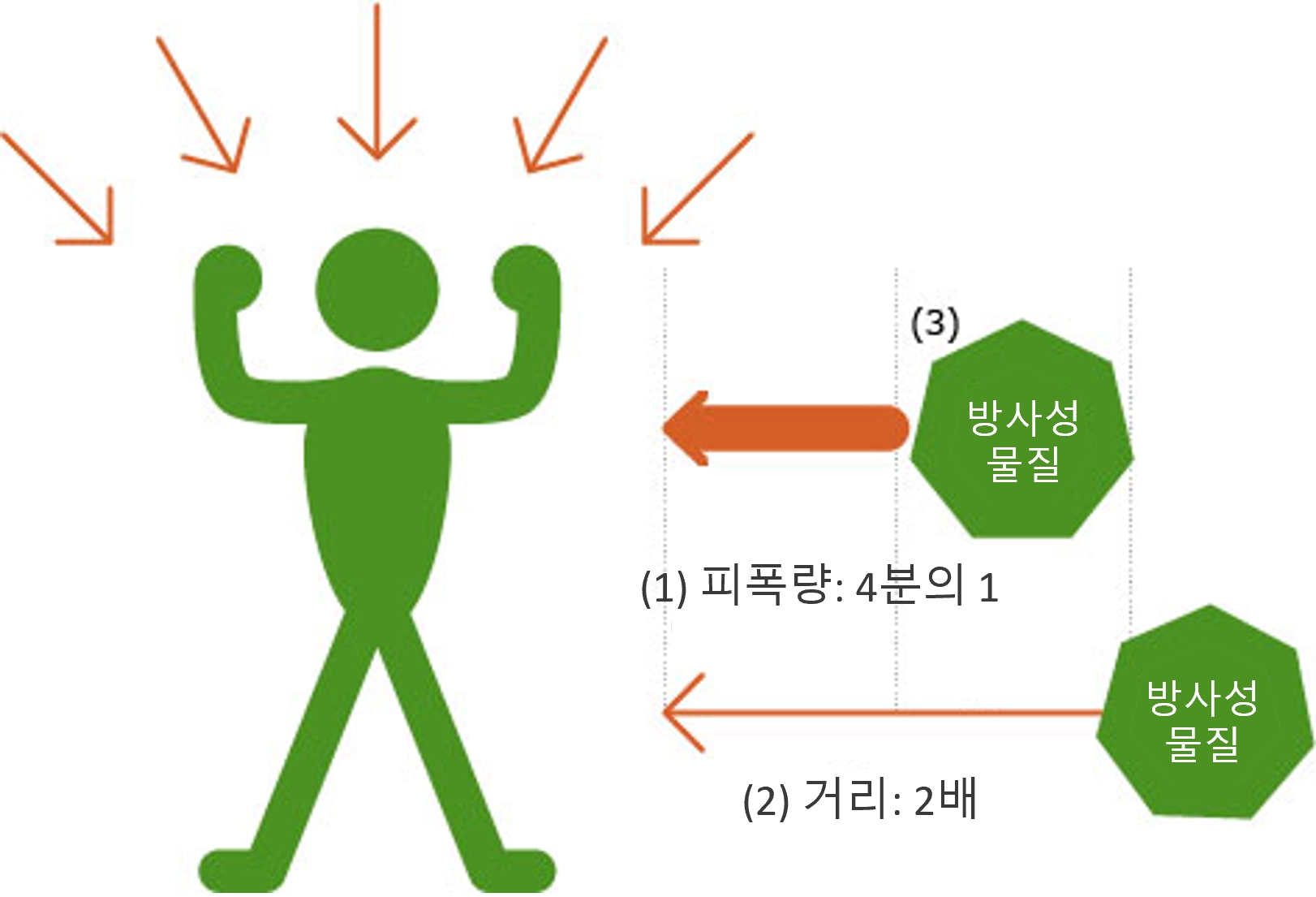 외부 피폭