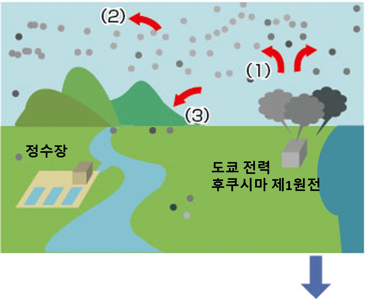 원전 사고 발생 직후의 영향 1