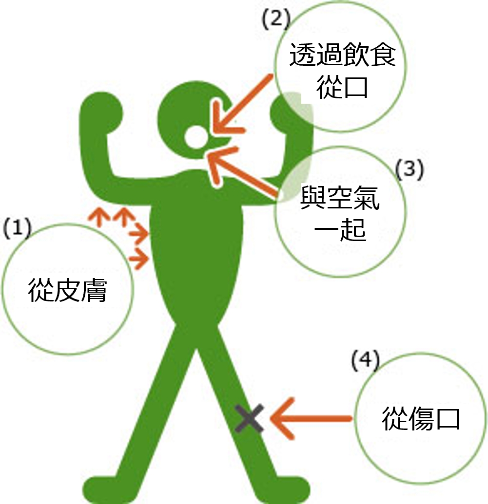 體內輻射曝露.