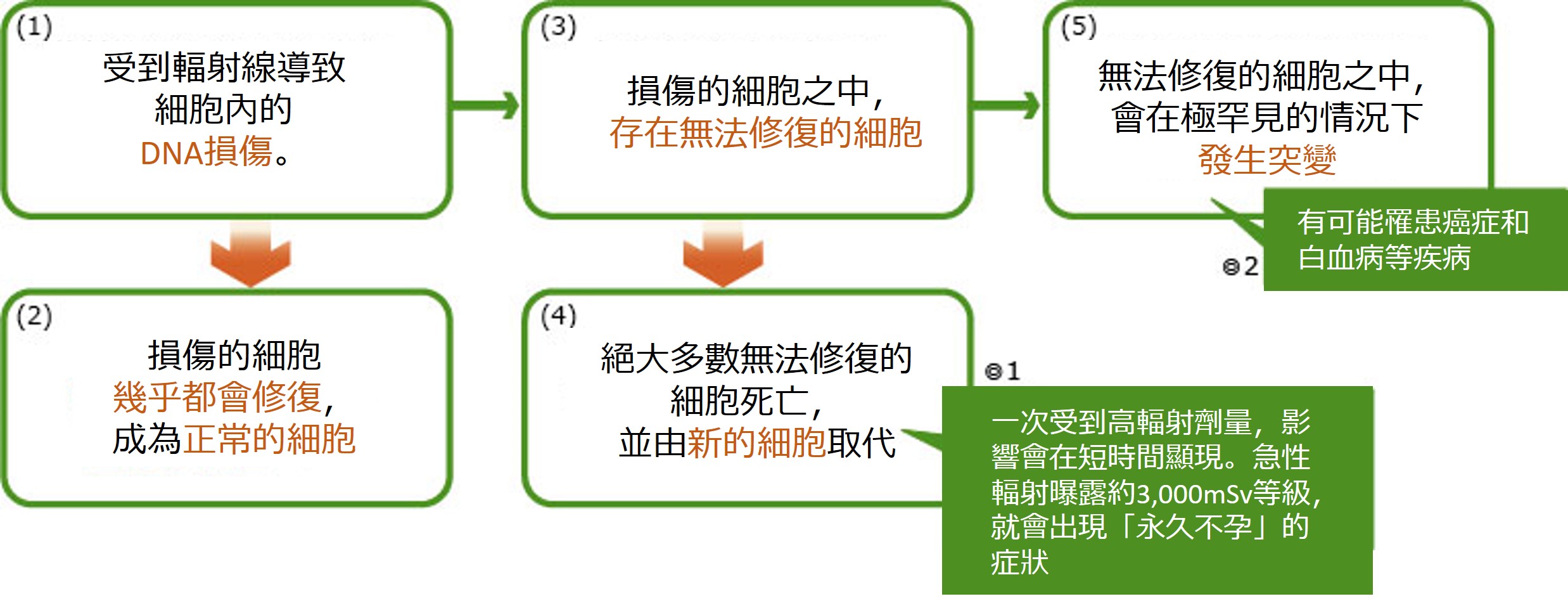 輻射線影響健康的機制.