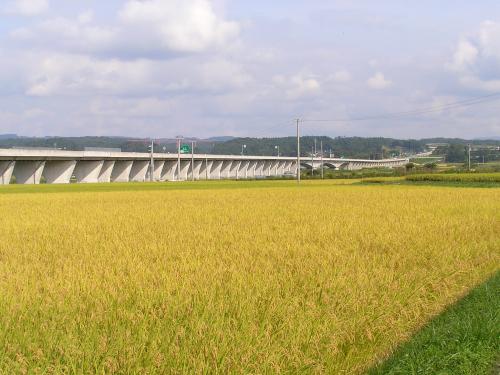 うつくしま大橋