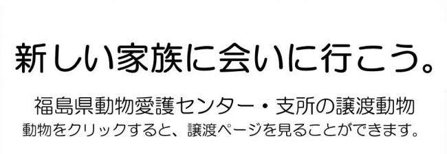 動物愛護センターの譲渡動物情報