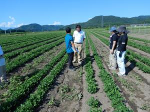 実証ほでの現地検討（西会津町松尾集落）