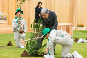 天皇陛下お手植え（クロマツ苗木）