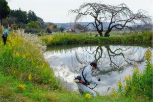 ため池の草刈り