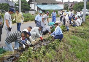 植栽活動