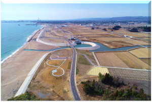 埓浜防災緑地の全景写真