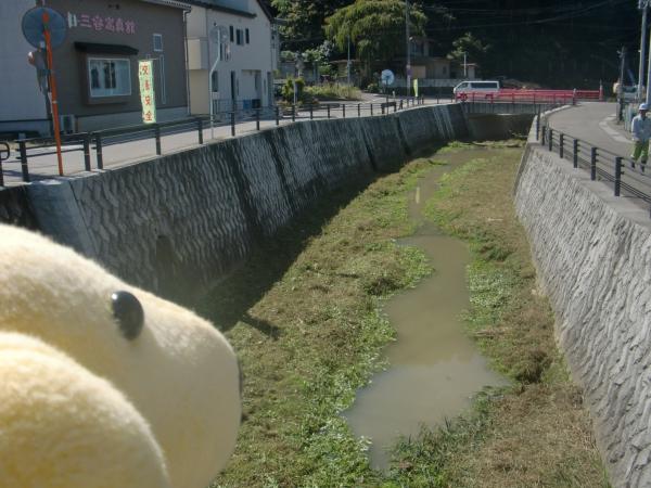 桜川河川清掃