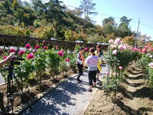 ダリア園