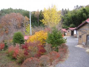 里山林・自然塾の写真