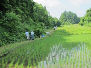 鳥獣害防護柵②