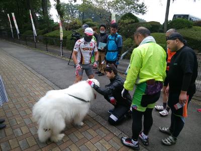 りんどう湖