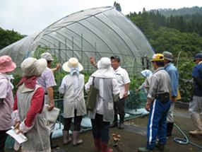 現地指導会の様子です