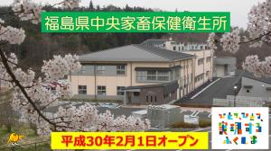 家畜保健衛生所の業務