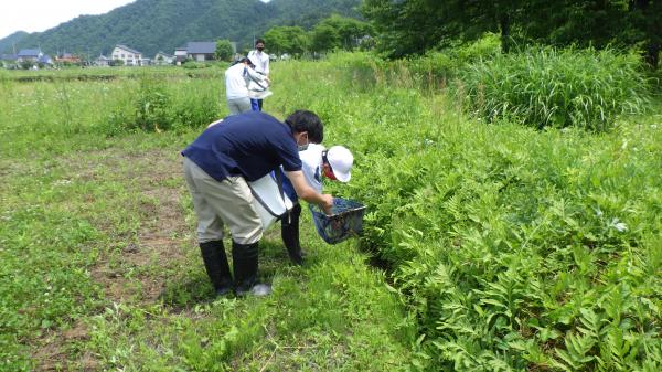 生き物採取２