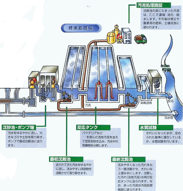 標準活性汚泥法イメージ