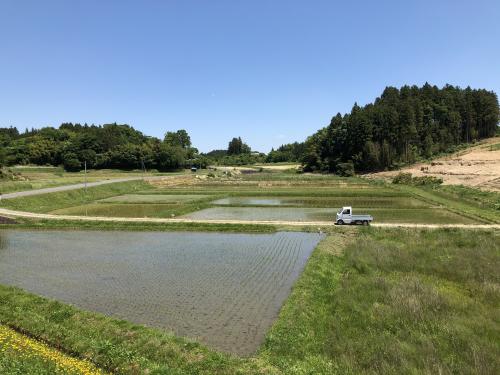 田植え時期の白沢地区受益地