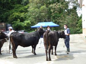 いいで地区の生産者