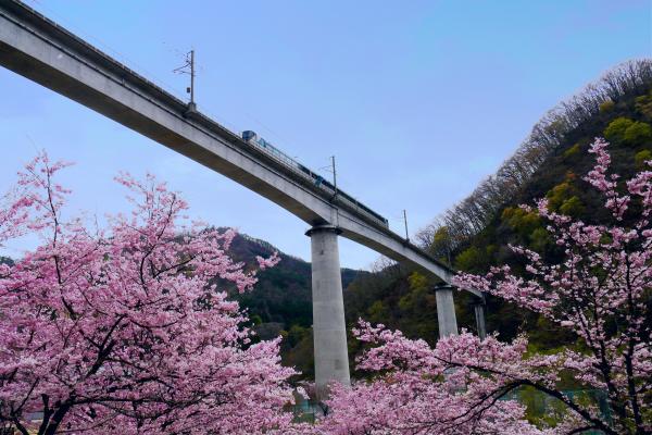 野岩鉄道写真２