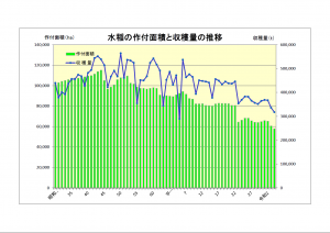 水稲の推移