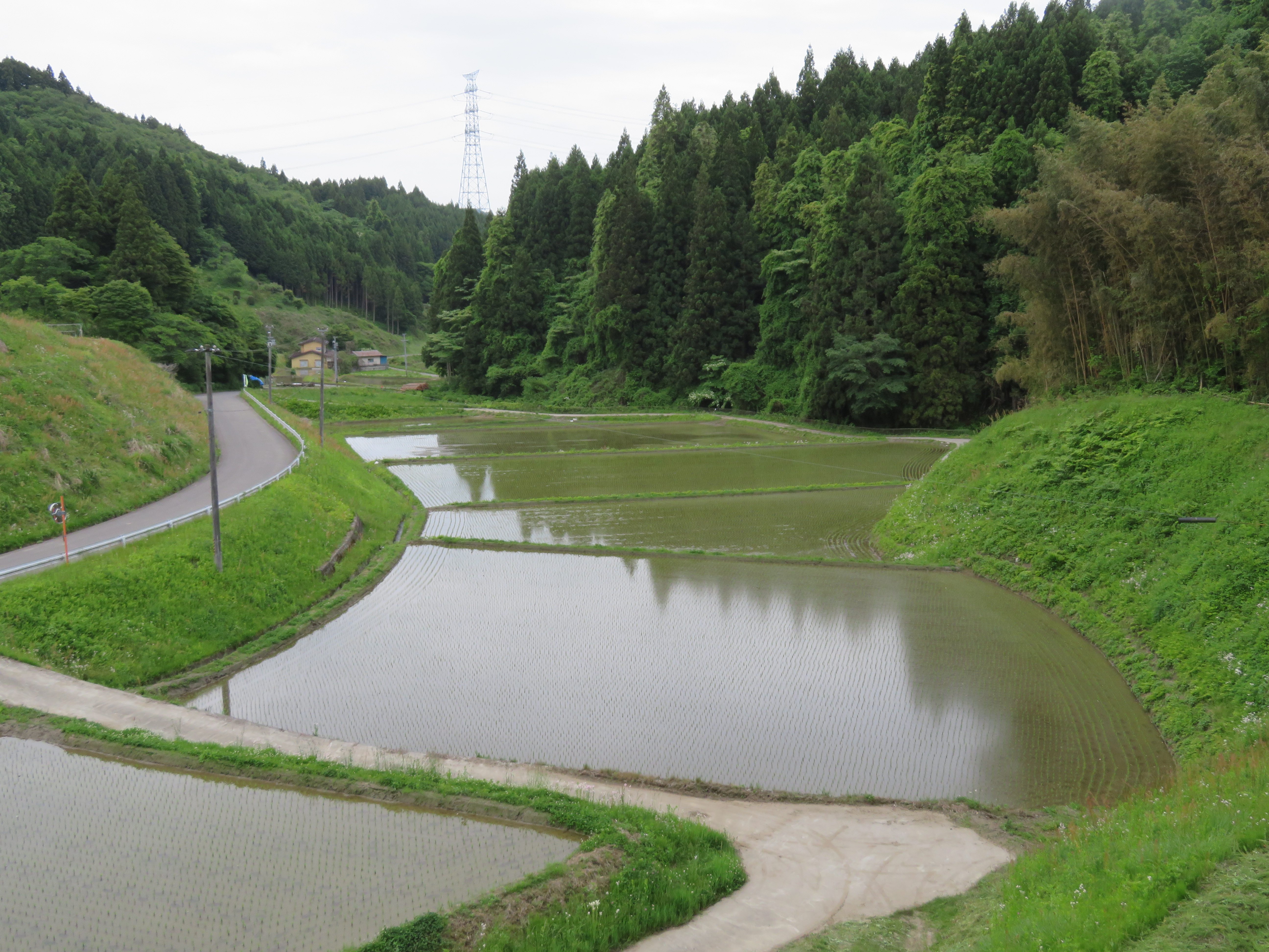 所部棚田