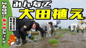 大田植えサムネイル画像