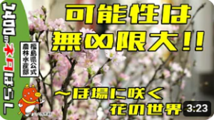 県中地方フラワーネットワーク　ほ場視察編