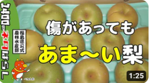 雹（ひょう）の被害と県中農林事務所の取組