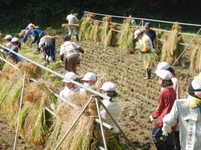 写真：地元の皆さんと、はせ掛けをする児童