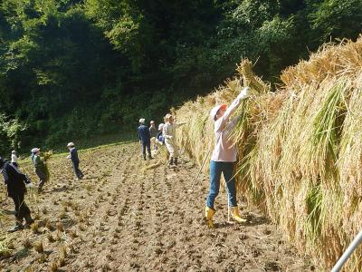 写真：懸命に、はせ掛けをする児童