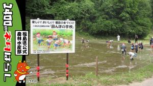 田んぼの学校