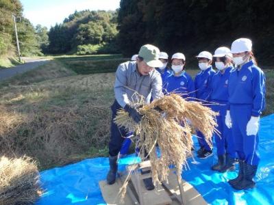 写真：千歯こぎで脱穀してみせる先生