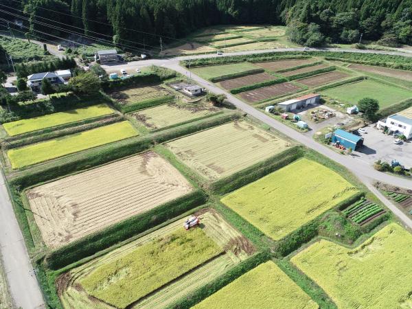 渋谷地区棚田