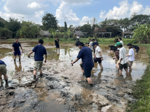 農業博物館で田植え体験