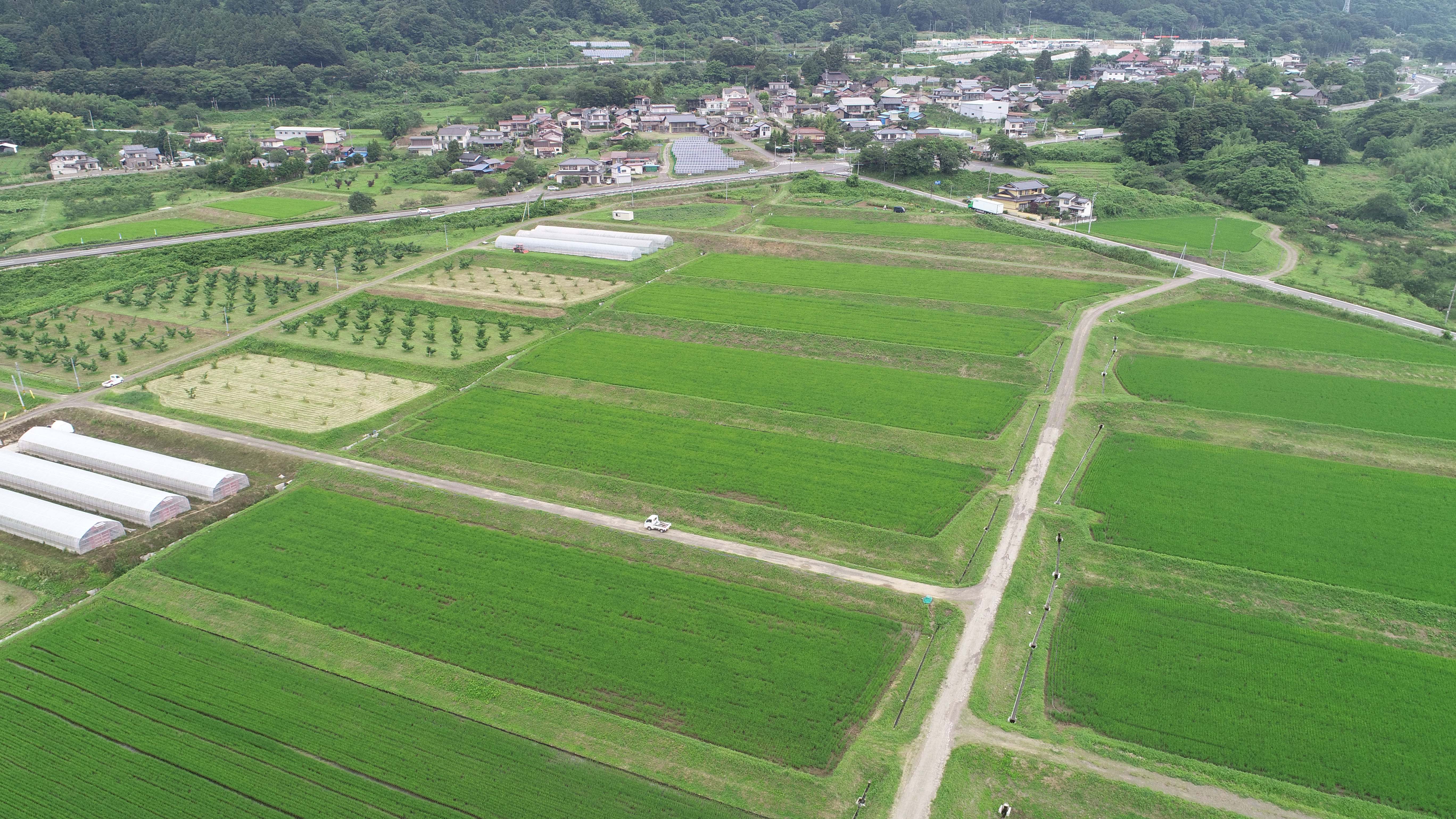 大木戸の棚田