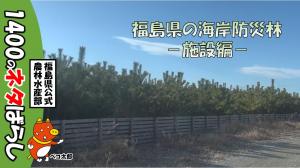 海岸防災林　サムネイル