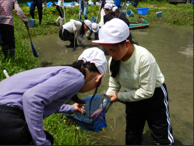 生き物②