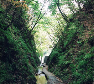 奥久慈県立自然公園矢祭山