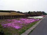 花の広場