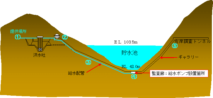 ダムからの浸透水が集まってくる来る場所の画像