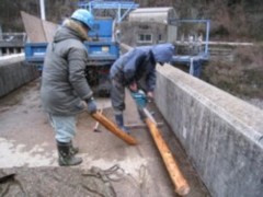 引き揚げられた流木はトラックに積み込むのには長すぎる物もあり、運搬できる長さに切りそろえます。