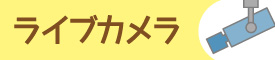 ライブカメラ