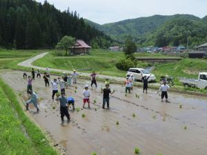 耕作放棄地で田植えをする学生