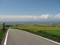 夏の恋人坂